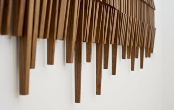 Spine
